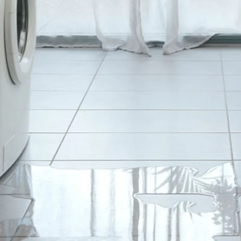 Appliance Leak Cleanup in Saginaw Township North, MI