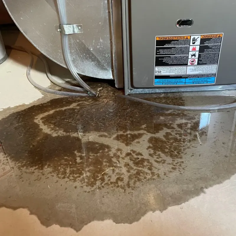 Pipe Burst and Leak Restoration in Saginaw Township North, MI
