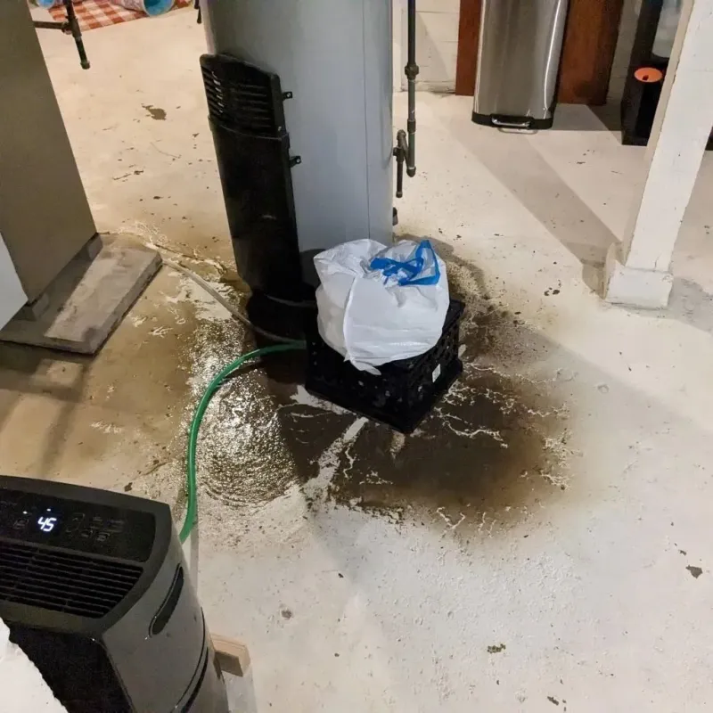 Sewage Backup Cleanup Service in Saginaw Township North, MI
